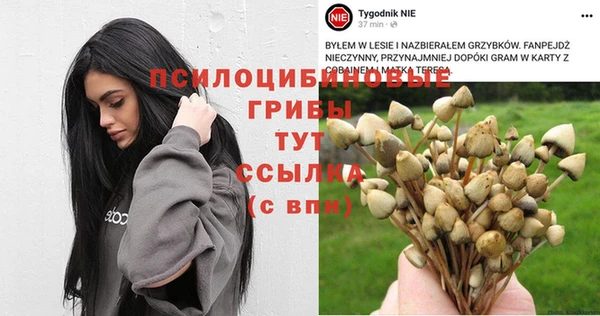 ALPHA PVP Баксан