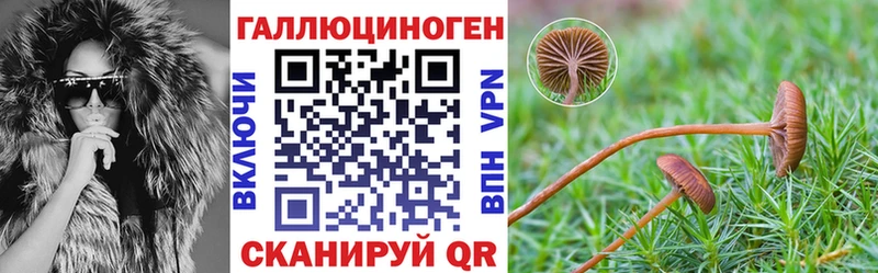 Псилоцибиновые грибы Cubensis купить Нерюнгри