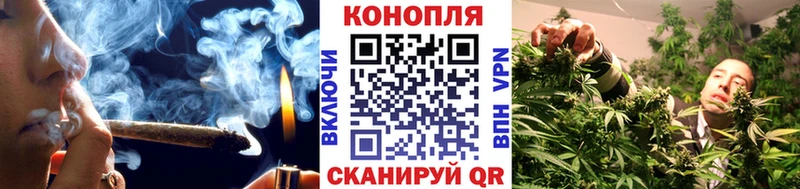 Шишки марихуана план Нерюнгри